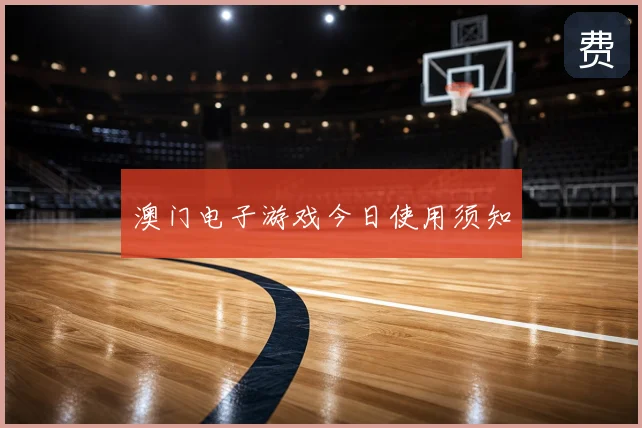 澳门电子游戏今日使用须知